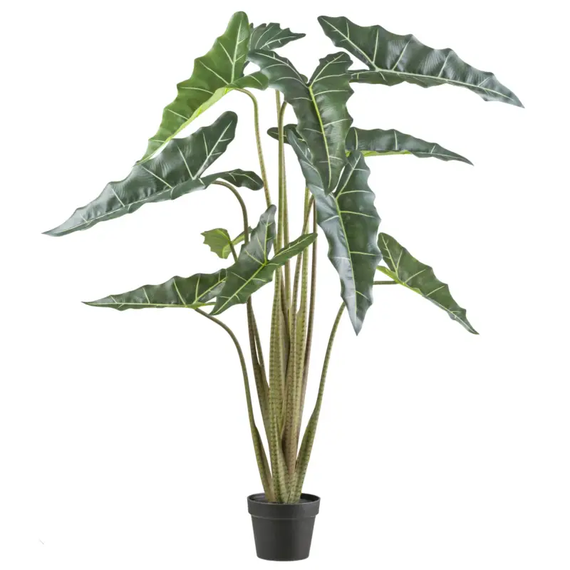Künstliche Alocasia zebrina 'Sarian', Höhe ca. 130 cm Abverkauf