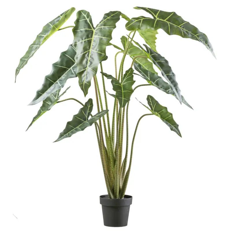 Bestseller Künstliche Alocasia zebrina 'Sarian', Höhe ca. 160 cm