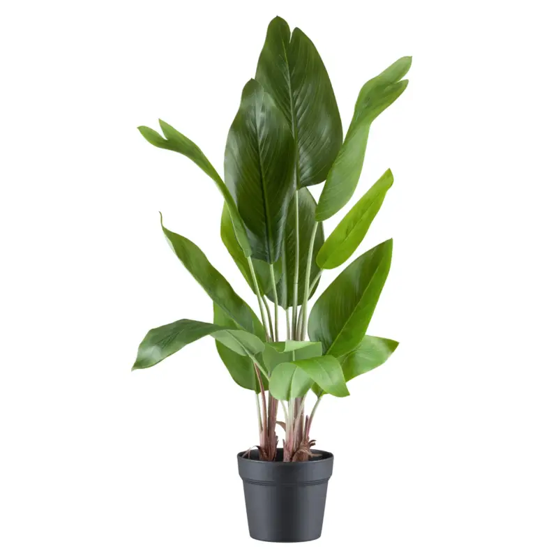 Abverkauf Künstliche Strelitzia nicolai, Höhe ca. 70 cm