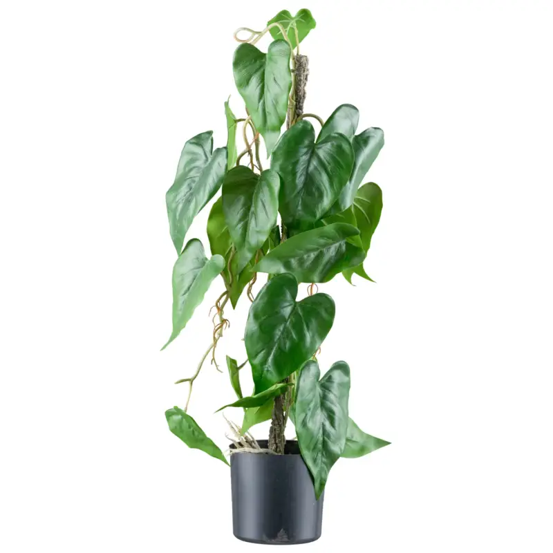 Künstlicher Anthurium andreanum, Höhe ca. 66 cm Direkt Vom Hersteller