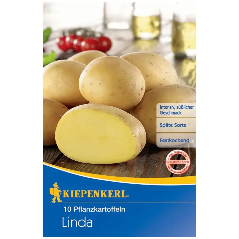 Pflanzkartoffel, Solanum tuberosum 'Linda', gelbe Schale, 10 Stück, 800 g Sichere Zahlung
