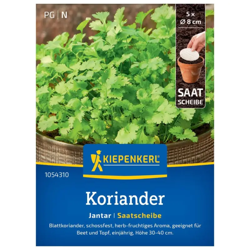 Kiepenkerl Saatscheibe Koriander 'Jantar' Mega-Angebot