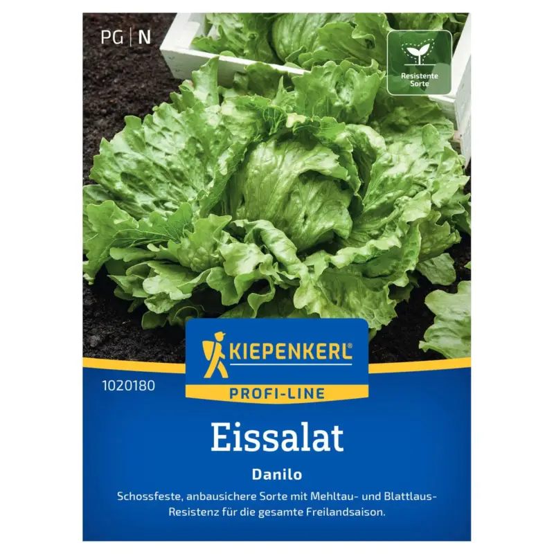 Kiepenkerl Saatgut Eissalat 'Danilo' Begrenztes Angebot