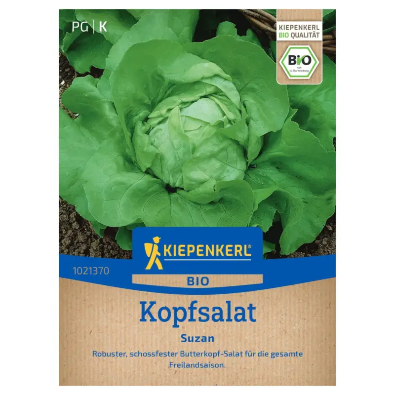 Kiepenkerl Bio-Saatgut Kopfsalat 'Suzan' Expressversand