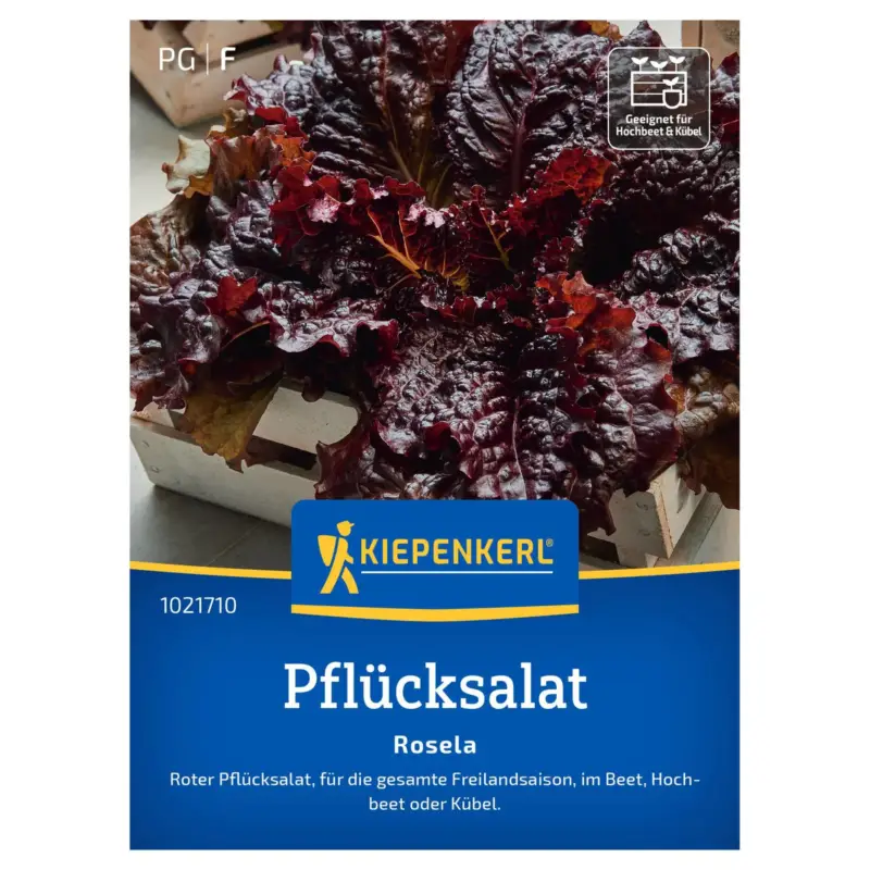 Kiepenkerl Saatgut Pflücksalat 'Rosela' Neu Im Sortiment