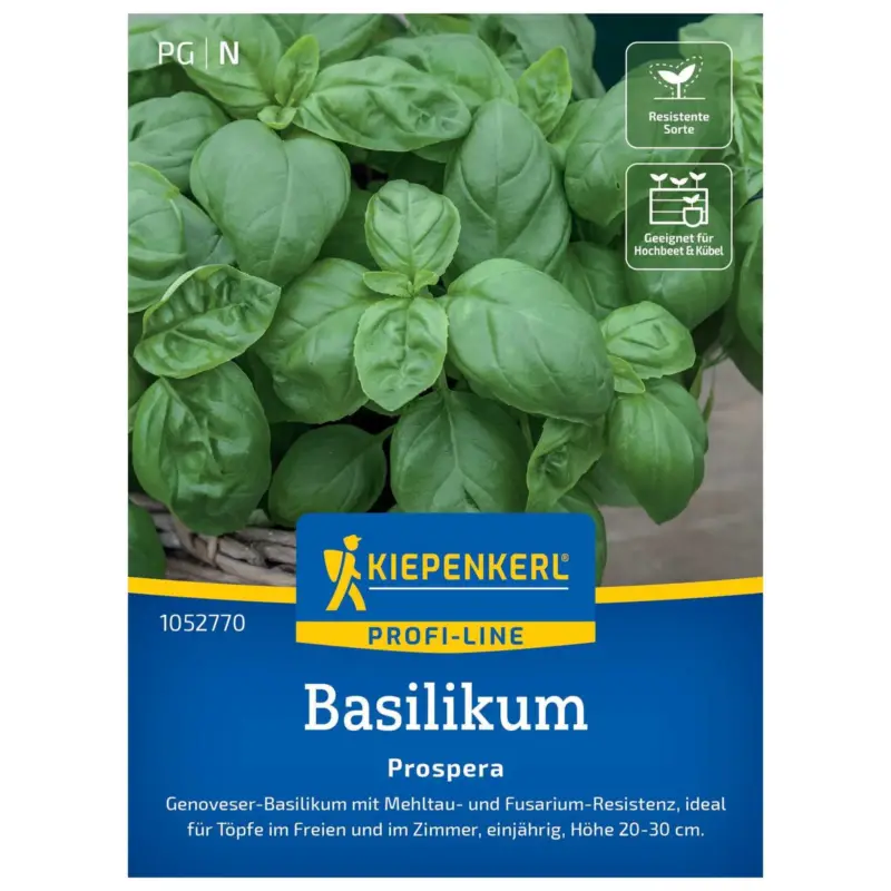Kiepenkerl Saatgut Basilikum 'Prospera' Schnäppchen