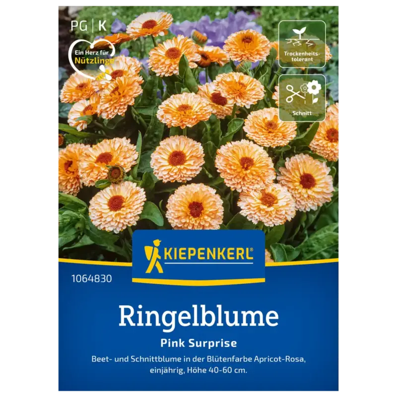 Kiepenkerl Saatgut Ringelblume 'Pink Surprise' Heißes Angebot