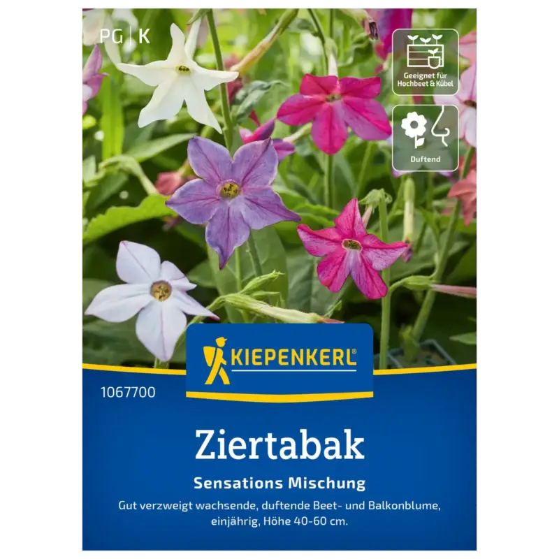 Kiepenkerl Saatgutmischung Ziertabak 'Sensations' Bestseller