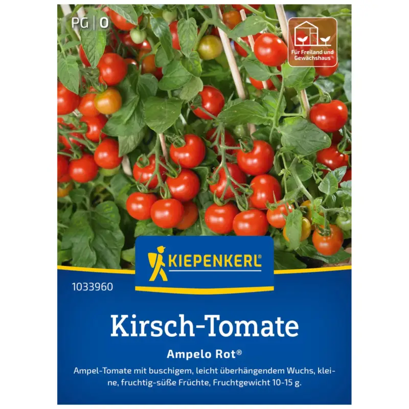 Kiepenkerl Saatgut Kirschtomate 'Ampelo Rot®', rot Günstig