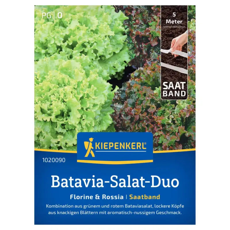 Aktuell Kiepenkerl Saatband, Batavia-Salat 'Florine & Rossia'