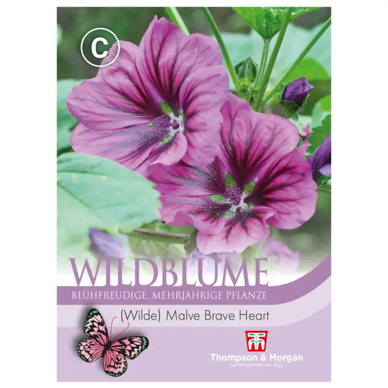 Markenprodukt Thompson & Morgan Wildblume Wilde Malve 'Brave Heart', lila