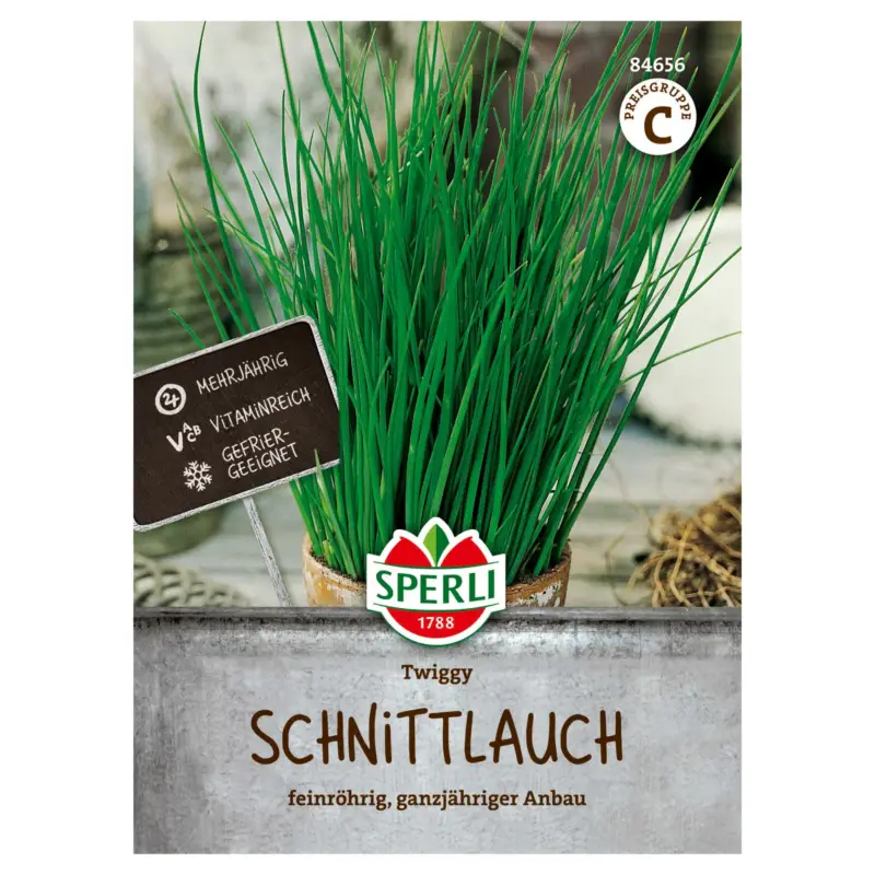 Sperli Saatgut Schnittlauch 'Twiggy', grün Sofort Bestellen