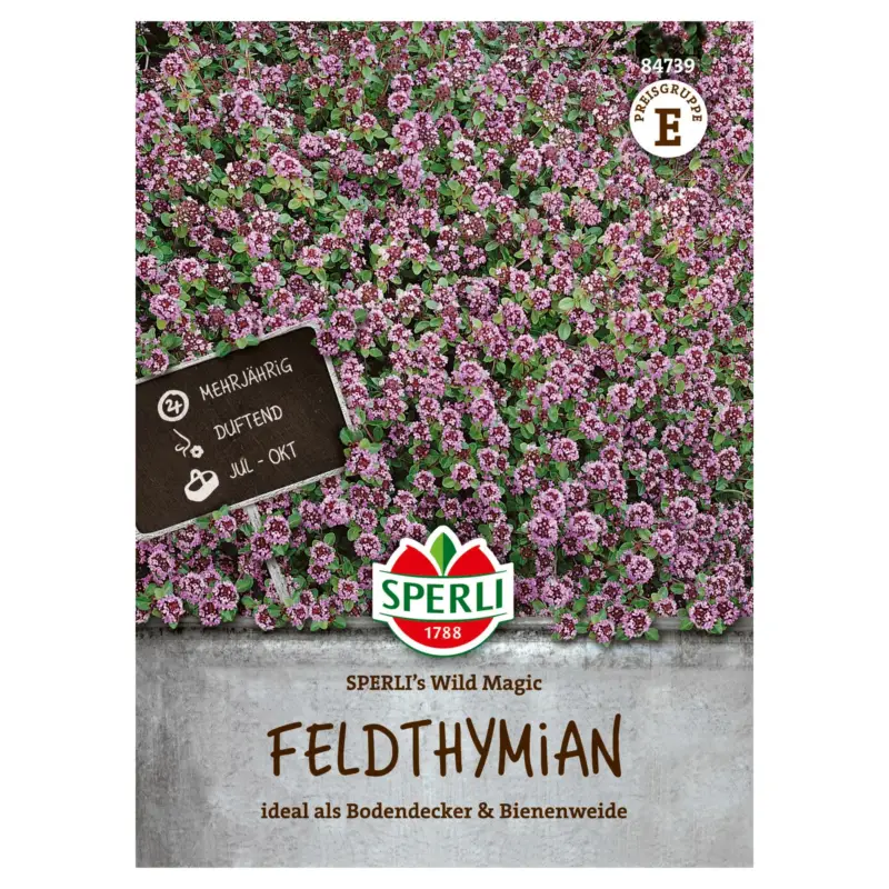 Direktkauf Sperli Saatgut Feldthymian 'Sperli’s Wild Magic', grün & rosa