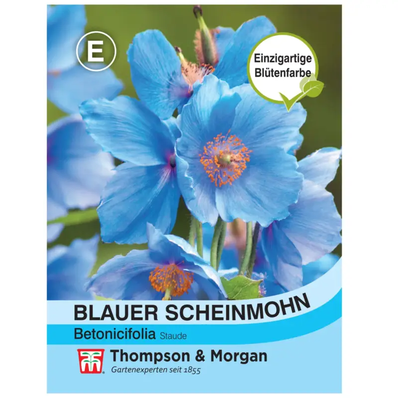 Markenprodukt Thompson & Morgan Saatgut Blauer Scheinmohn, blau