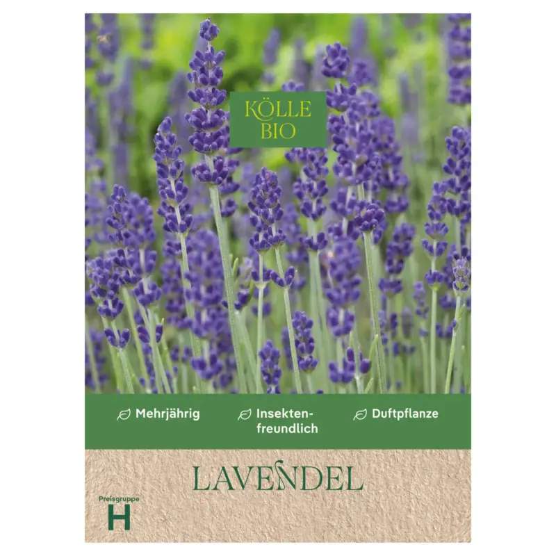 Kölle Bio Saatgut Lavendel, lila Neue Kollektion
