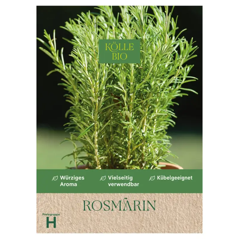 Saisonangebot Kölle Bio Saatgut Rosmarin, grün