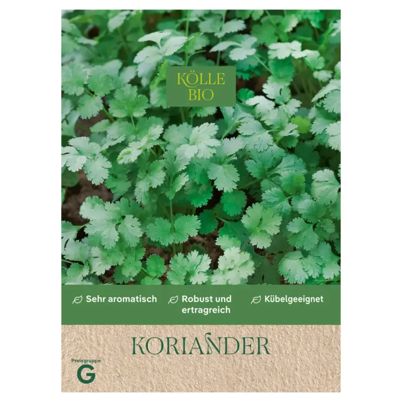 Aktuell Kölle Bio Saatgut Salatkoriander, grün