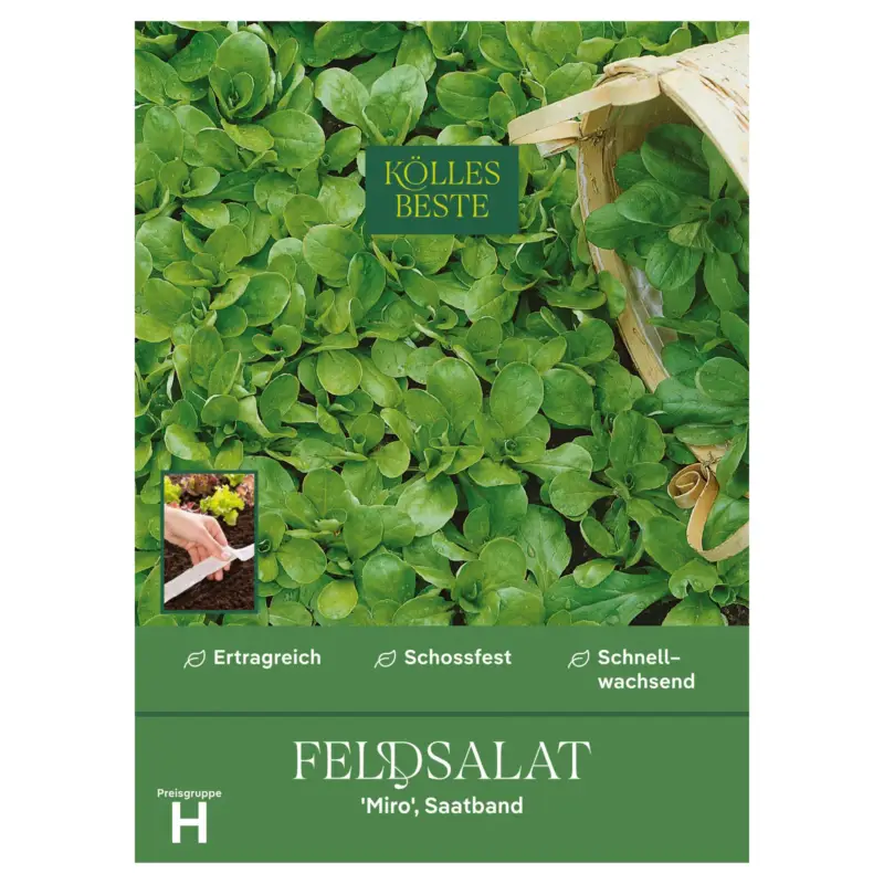 Ausverkauf Kölles Beste Saatband Feldsalat 'Miro', grün