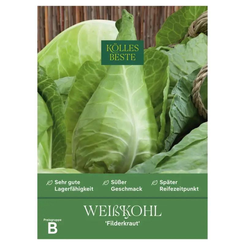 Kölles Beste Saatgut Spitzkohl 'Filderkraut', grün Kracherpreis