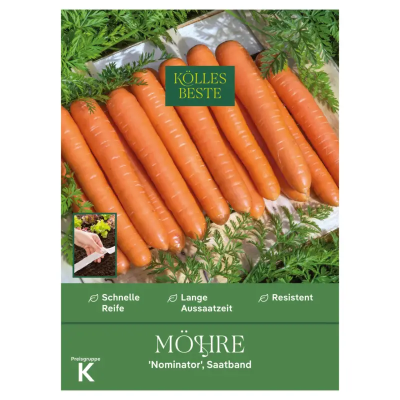 Knallerangebot Kölles Beste Saatband Möhre 'Nominator', orange