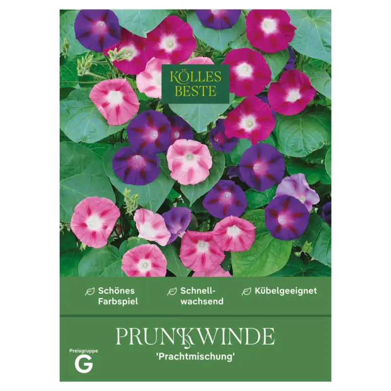 Highlight Kölles Beste Saatgutmischung Prunkwinde, bunt