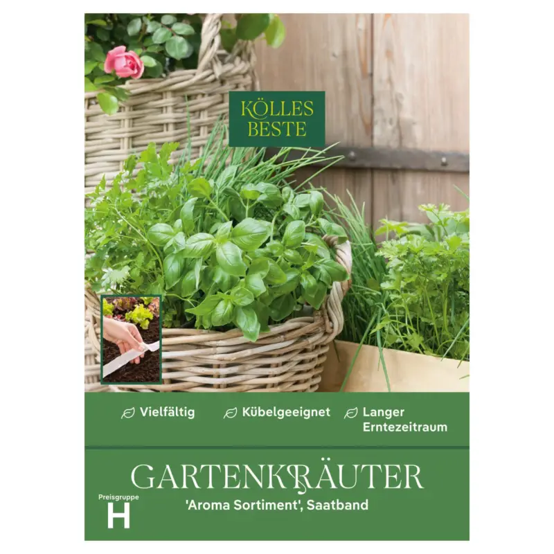 Super-Preis Kölles Beste Saatband Gartenkräuter 'Aromasortiment', grün