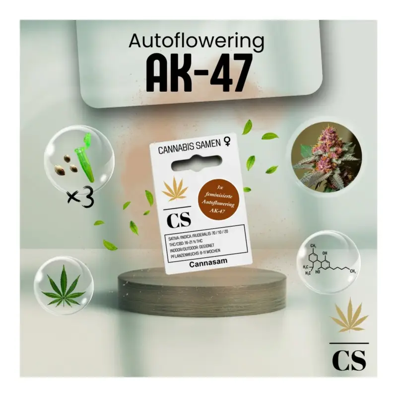 Versand Am Gleichen Tag Cannabis Saatgut Hanf 'Autoflowering AK 47'