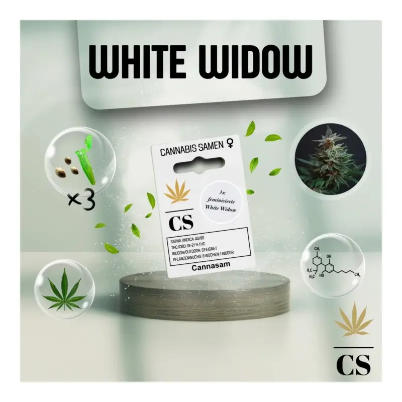 Highlight Cannabis Saatgut Hanf 'White Widow'