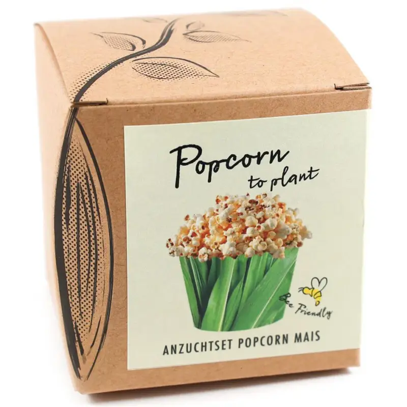Preisreduziert Saatgut Popcorn-Mais, gelb
