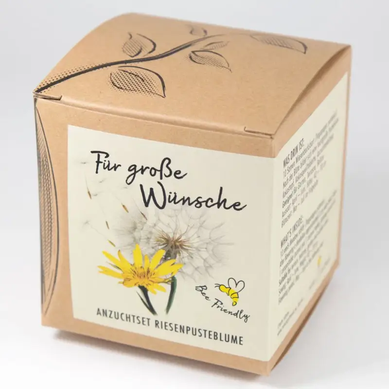 Sonderaktion Anzuchtset Riesenpusteblume, gelb
