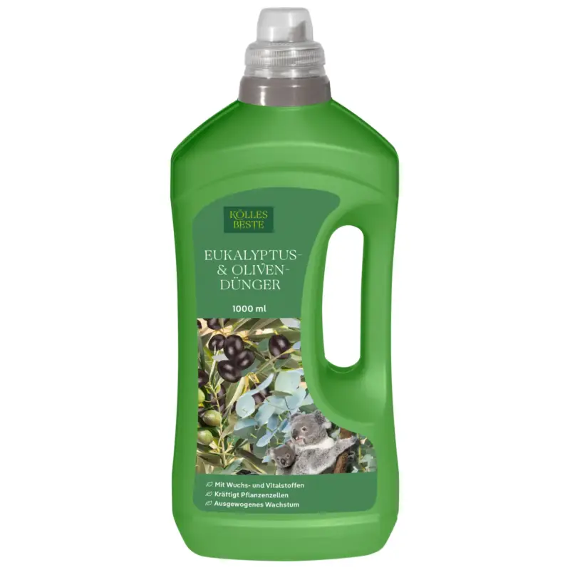 Kölles Beste Eukalyptus & Olivendünger, 1 Liter Preisknaller