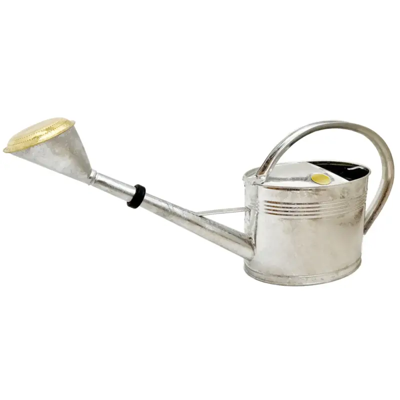Kölles Beste Gießkanne, silber, 6 Liter Saisonangebot