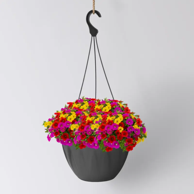 Zauberglöckchen 'MixMasters® Candyhouse', pink-rot-gelb, Ampeltopf-Ø 27 cm Sonderangebot