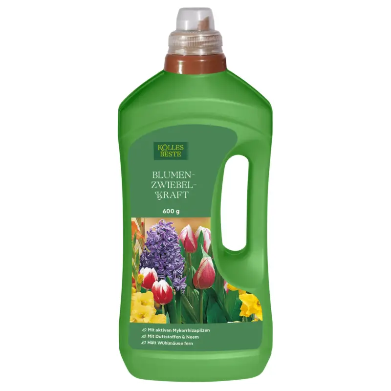 Kölles Beste Flüssigdünger Blumenzwiebelkraft, 600 ml Mega-Angebot
