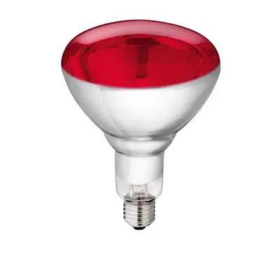 Top-Angebot Infrarot Birne 250 Watt