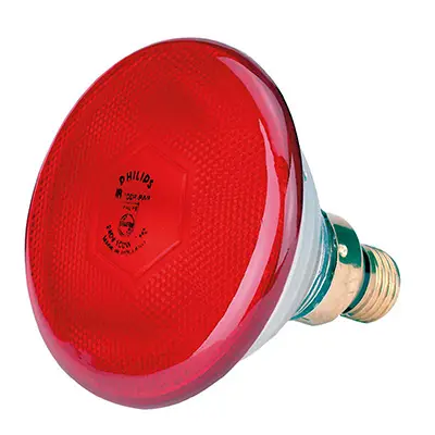 Infrarot Sparlampe "Philips" 175W Direkt Vom Hersteller