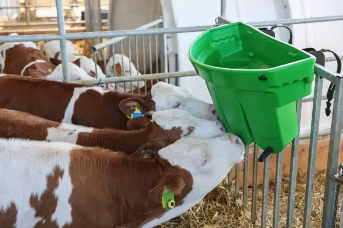 Echt Tränkewanne Multi Feeder mit 5 Portionsfächern