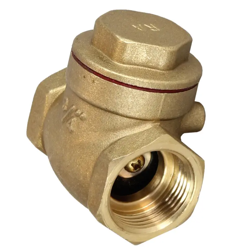 Neue Kollektion Rückschlagklappe 3/4"