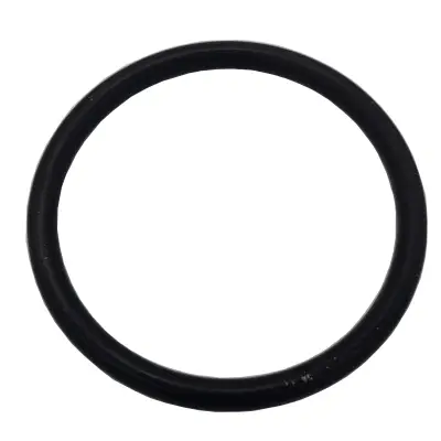 Letzte Chance O Ring 25 x 3 DeLaval Rührwerksmotor