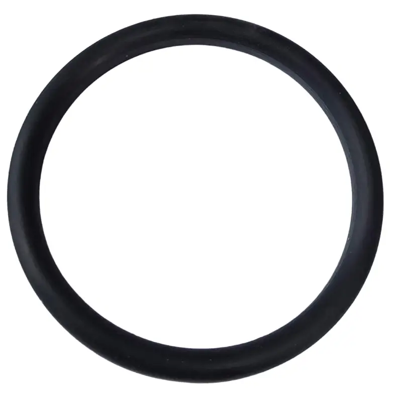 Dichtring EPDM DN65 5mm Milchleitung / Tankauslauf Kracherpreis