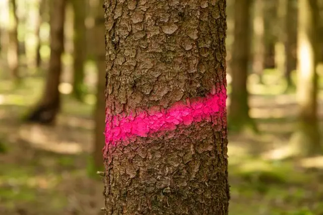 Markierungsspray Forst und Bau Neon pink 500 ml Knallerangebot