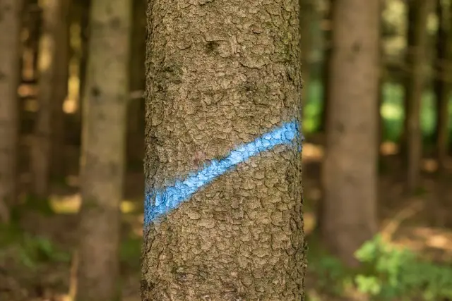 Markierungsspray Forst und Bau Neon blau 500 ml Zertifiziert