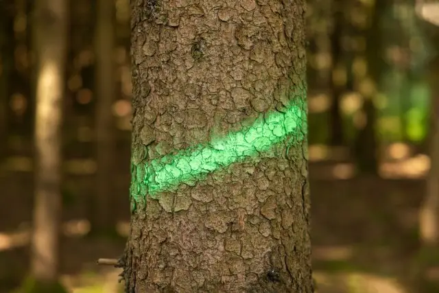 Markierungsspray Forst und Bau Neon grün 500 ml Kracherpreis