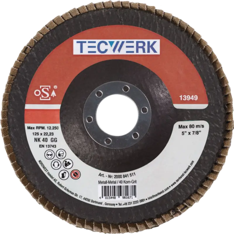 TecwerkFächerscheibe, Ø 125 mm Echt