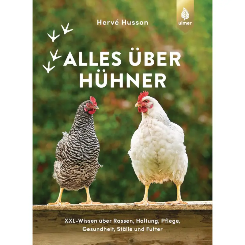 Alles über Hühner XXL-Wissen Neue Ware