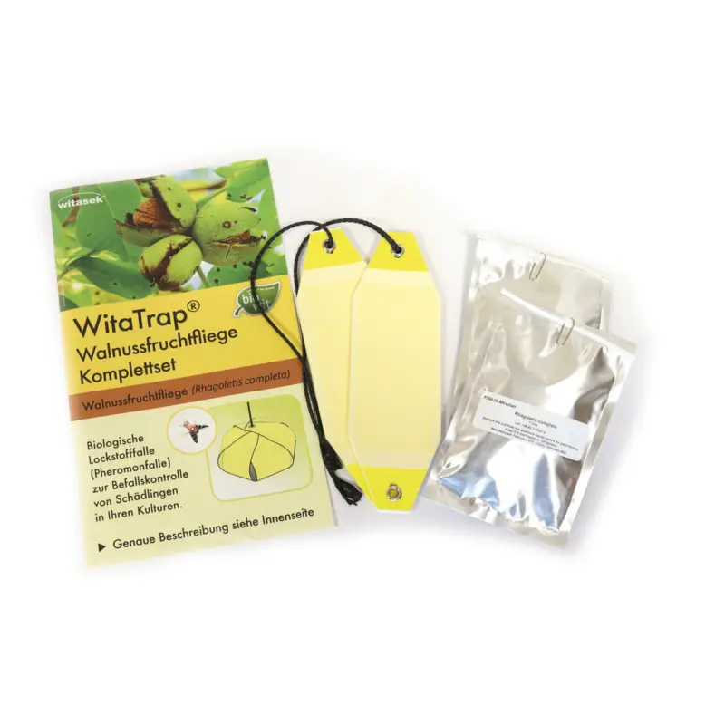 Markenprodukt Walnussfruchtfliege Komplett Set (Rhagoletis completa)