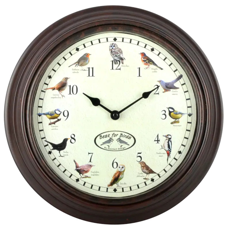 Uhr mit Vogelrufen Highlight