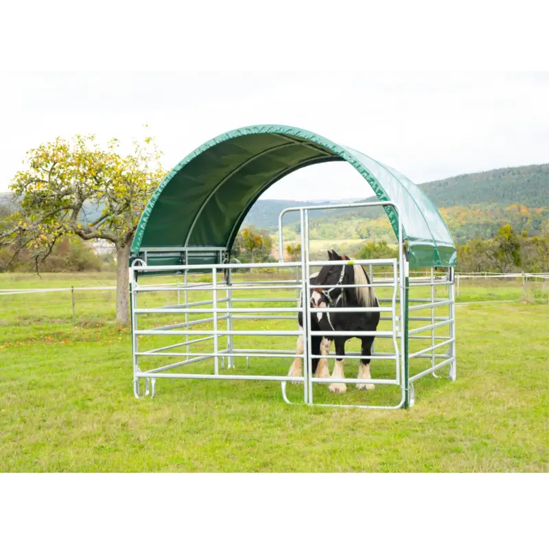 PaturaPanel-Dach Compact 6x3,6 m Günstig