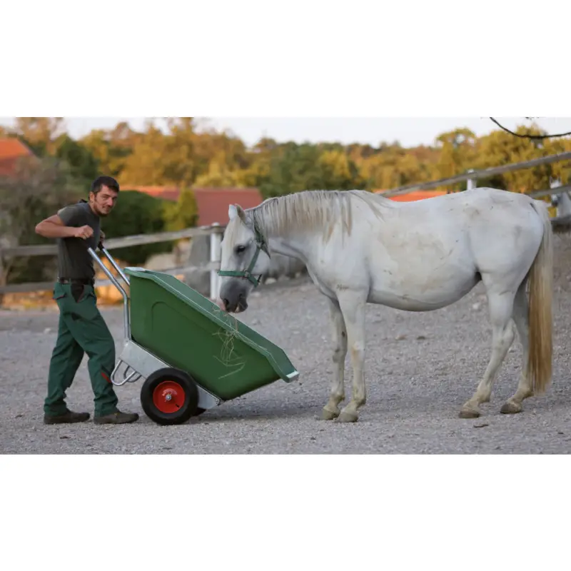 rotoSchiebetruhe 250 L kippbar Saisonangebot