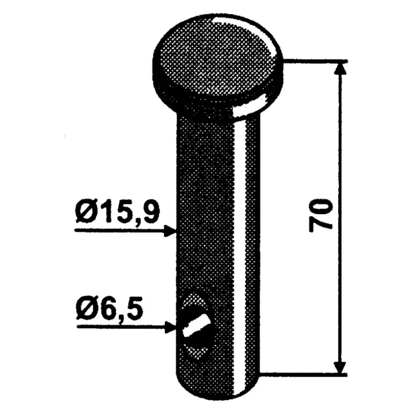 Bolzen DK032 Highlight
